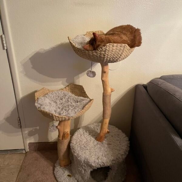 46" Seeman Double Branch Cento Cat Tree