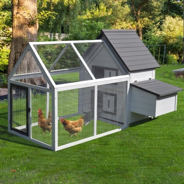 Camas Chicken Coop with Chicken Run For Up To 3 Chickens