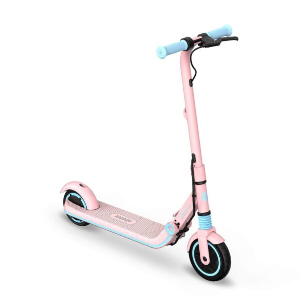Segway Ninebot Electric Kick Scooter for Kids