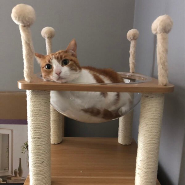 52" Tavion Multi-level Cat Tree