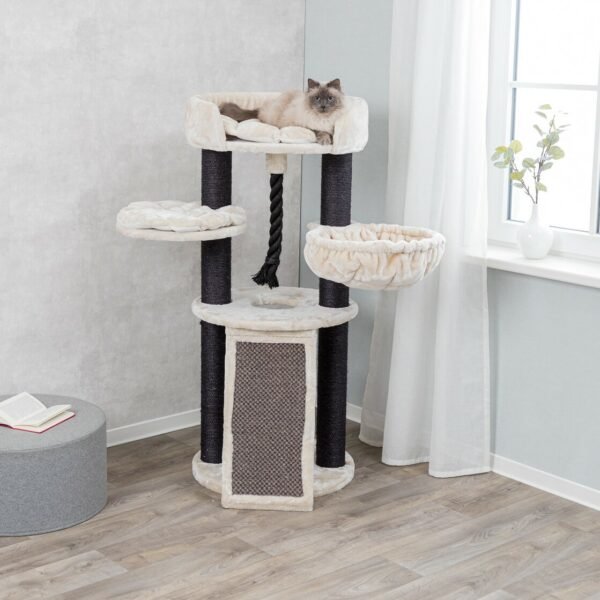 56" Goodman Bovina Cat Tree