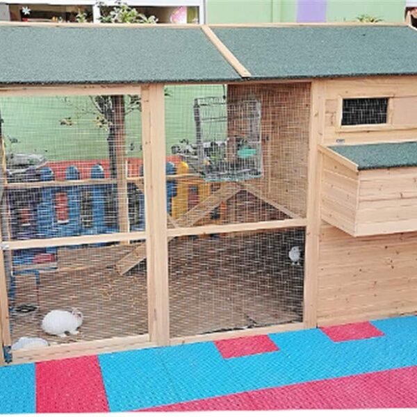 Large Size Fir Wooden Waterproof Roof Green Chicken Coops