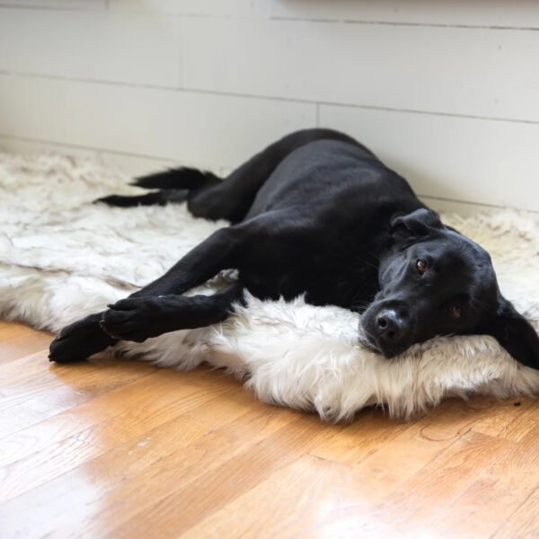 Pretor Puprug Runner Faux Fur Memory Foam Dog Curve Mat