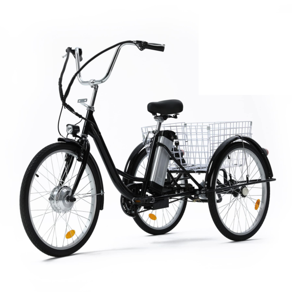 3 Wheel Electric Bike for Adults with 250w Motor