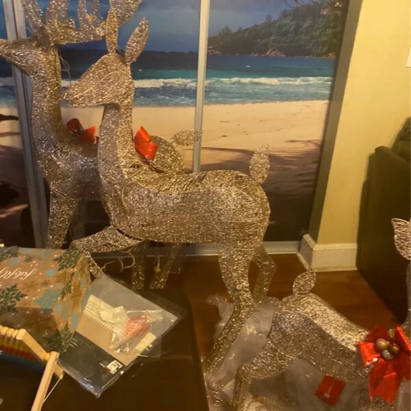 3 Piece Christmas Deer Light Display Set