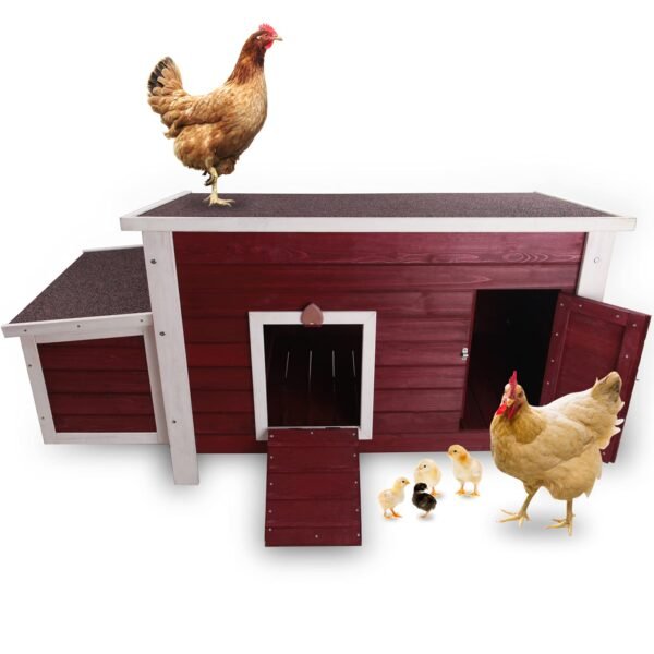 Weatherproof Chicken Coop with Nesting Box