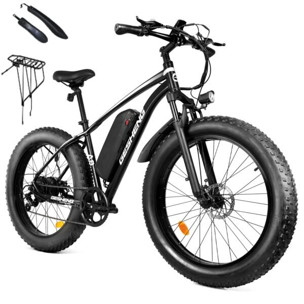 Electric Bike for Adults