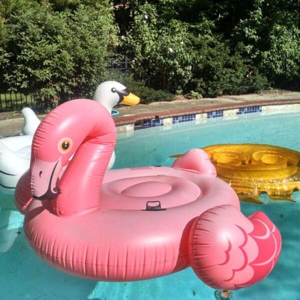 Flamingo Party Island