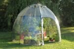 Haxnicks Garden Sunbubble Portable Greenhouse