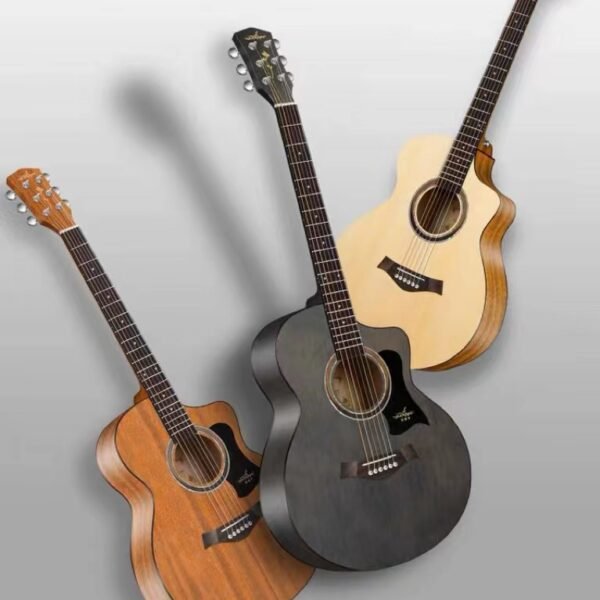 Electro Acoustic Guitar