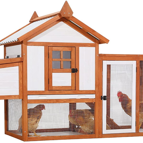 Outdoor Wooden Multi-Level Chicken Coop