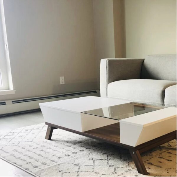 Soto 4 Legs Coffee Table with Storage