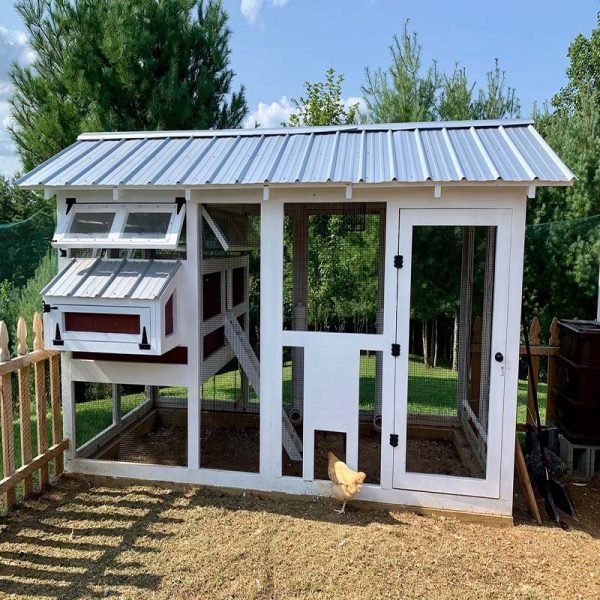 Outdoor Chicken Coop