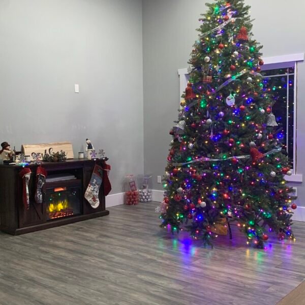 Dunhill Fir 120'' Lighted Artificial Fir Christmas Tree
